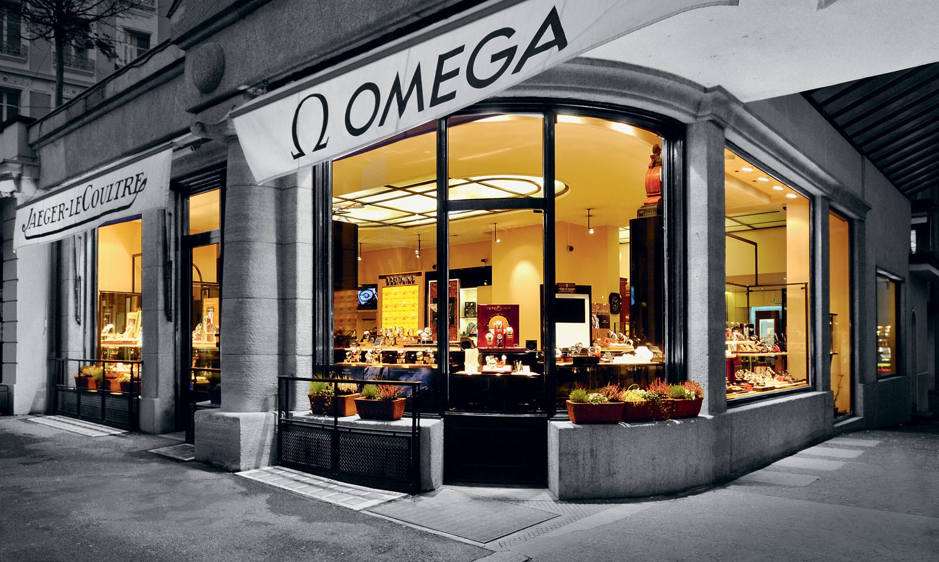 A passion for beauty for the past 25 years