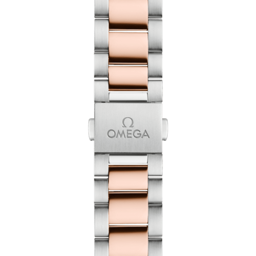 Omega-seamaster-aqua-terra 220.20.34.20.06.001 Lionel-Meylan-horlogerie-joaillerie-vevey-
