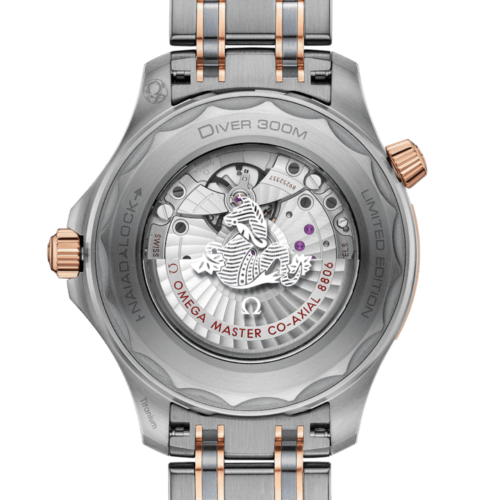 Montre-Omega-seamaster-diver-300 210.60.42.20.99.001 Lionel-Meylan-horlogerie-joaillerie-vevey.jpg
