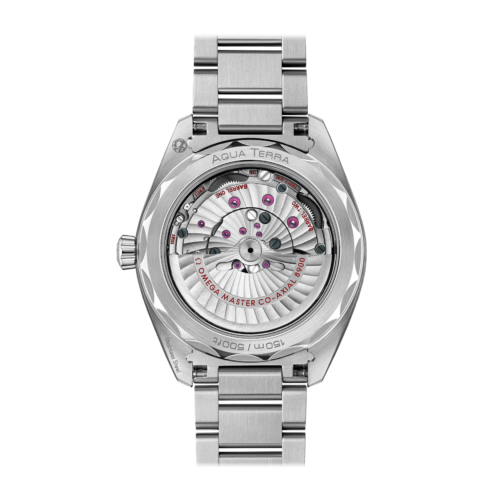 Omega seamaster aqua terra 150m co-axial master chronometer 41mm 22010412103004 lionel meylan vevey lausanne