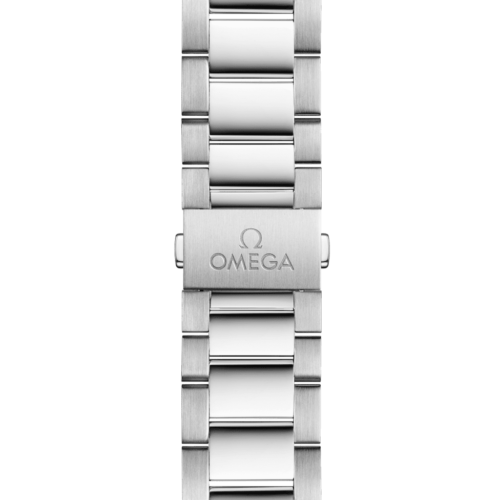 Omega Seamaster Aqua Terra 220.10.41.21.01.001 horlogerie lionel meylan vevey lausanne montreux