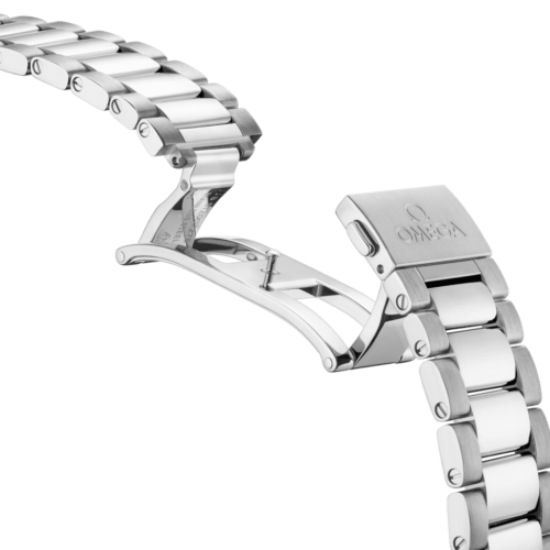 Omega Seamaster Aqua Terra 220.10.41.21.01.001 horlogerie lionel meylan vevey lausanne montreux