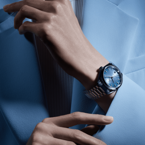 Omega SEAMASTER AQUA TERRA 150M 220.10.38.20.03.004 horlogerie lionel meylan vevey lausanne montreux