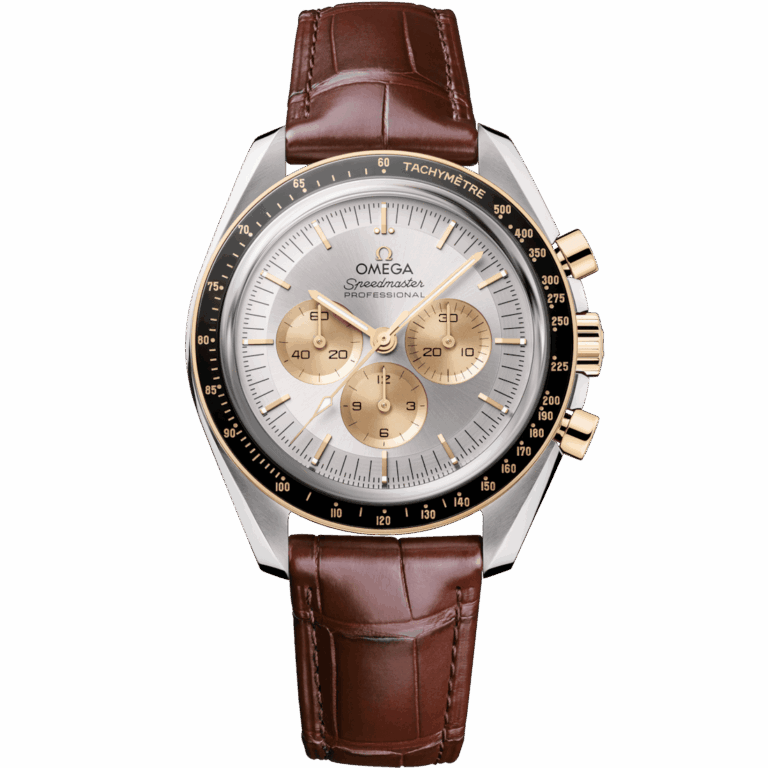 OMEGA - Speedmaster Moonwatch Professional 42 mm, acier – ou Moonshine™ sur Alligator